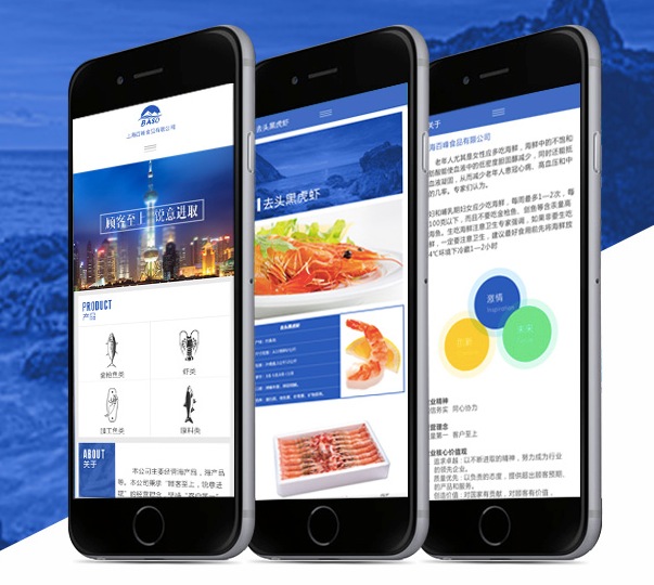 百峰食品手机网站